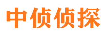 团风市调查公司